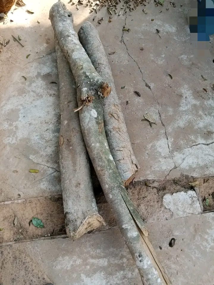 NGBOEJEOGU Ebonyi State