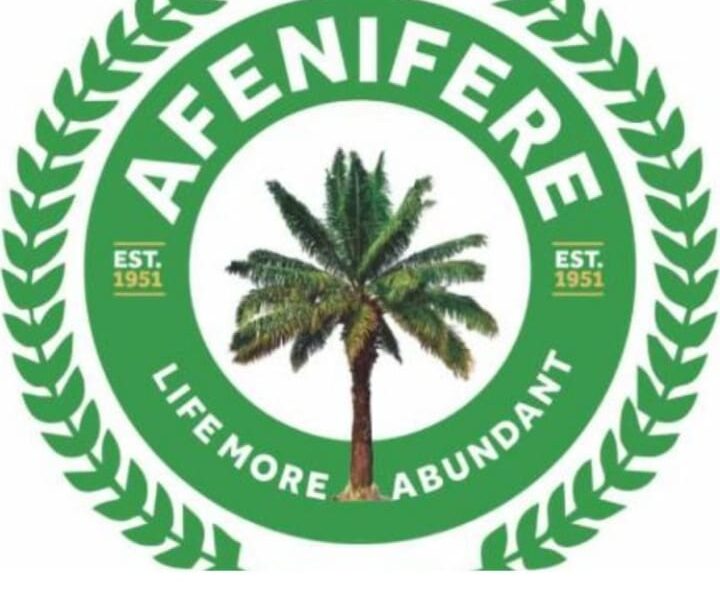 South-West on Higher Alert: Afenifere Demands Tighter Security 