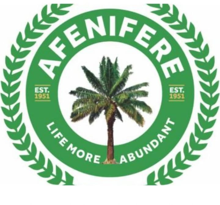 South-West on Higher Alert: Afenifere Demands Tighter Security