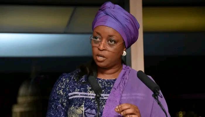 Diezeni Denies Ownership of Recovered $52.8million Million US Loot, Points Out Alleged ‘Owner’