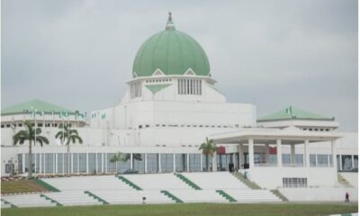 NASS Doubts FG’s Commitment to Diversify Economy, Summons Edun, Bagudu, Budget DG