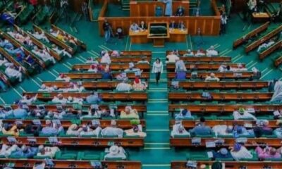 House of Reps Deny Bribery Allegations in 2025 Budget for Universities 