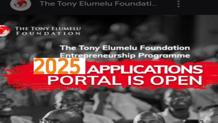 Secrets to Winning the Tony Elumelu Foundation $5,000 Grant in 2025