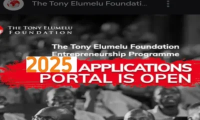 Secrets to Winning the Tony Elumelu Foundation $5,000 Grant in 2025