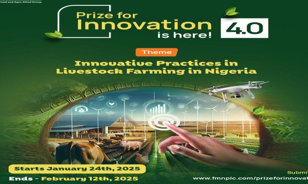 FMN Prize for Innovation
