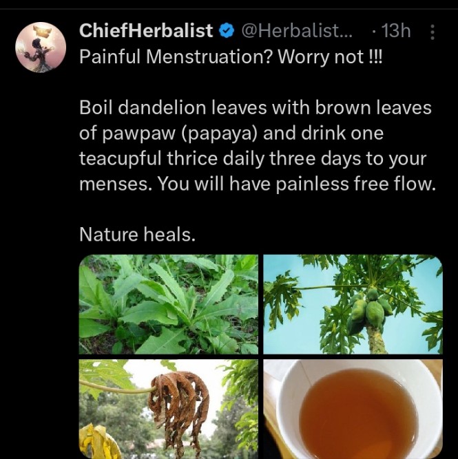 Fact-check: Did dandelion leaves with brown leaves of Pawpaw cure Menstrual pain?