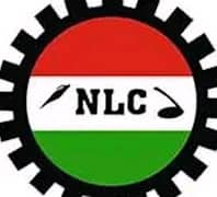 NLC Demands Adelabu's Resignation Over Grid Collapse
