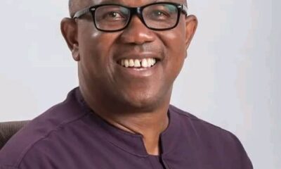 Peter Obi and the Questions of Governance