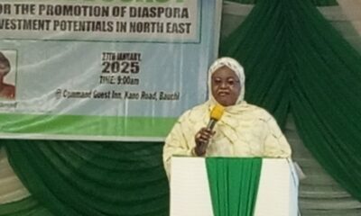 Nigerians abroad remit $90 billion in 5 years-NiDCOM