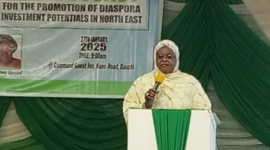 Nigerians abroad remit $90 billion in 5 years-NiDCOM
