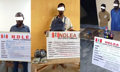 NDLEA intercepts cannabis shipment at Lagos Airport