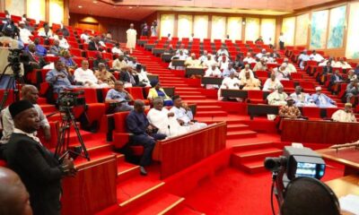 Senate calls for greater Investments in Solid Minerals as NMCO records ₦8.2bn revenue