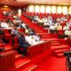 Senate calls for greater Investments in Solid Minerals as NMCO records ₦8.2bn revenue