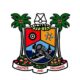 Lagos Government Warns Against Prank Calls to Fire Service