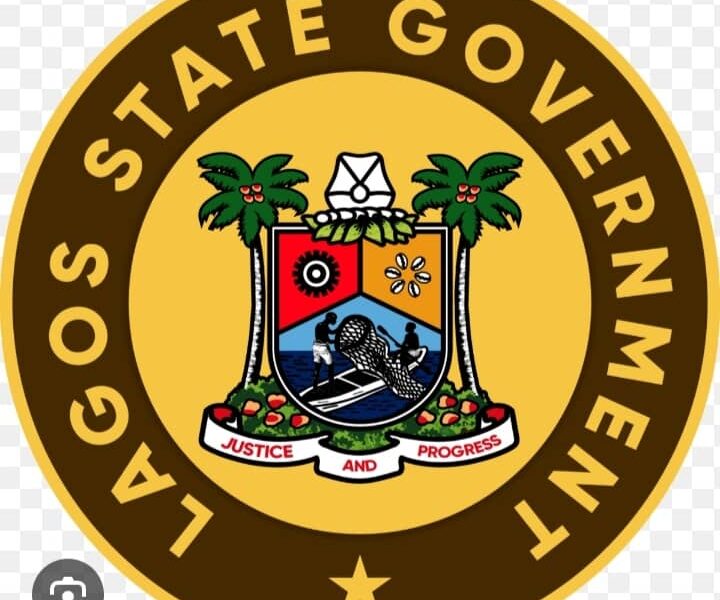 Lagos  State Gov't Rescues 9-Year Old Survivor of Sexual Assault 
