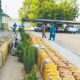 Customs Intercepts Smuggled Petrol Worth ₦199m in Adamawa