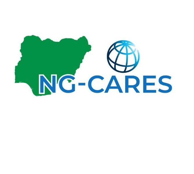 NG-CAEES