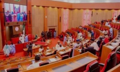 Senate Confirms Appointment of 3 INEC Electoral Commissioners