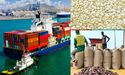 Nigeria records 20.79% increase in non-oil export, surpassing $5bn