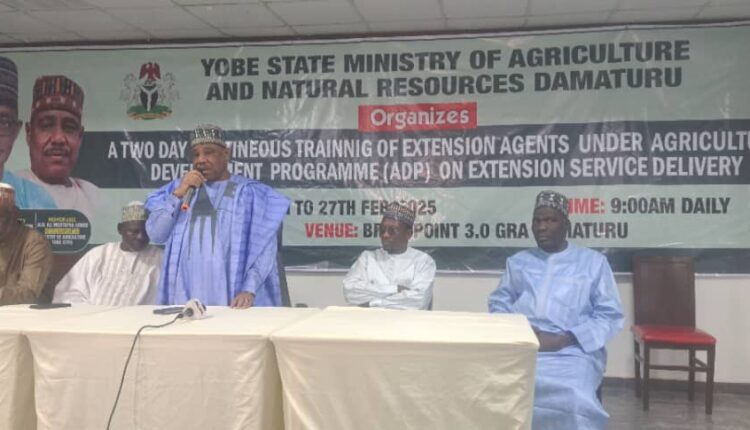 Yobe trains 178 agricultural extension agents