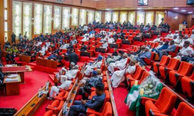 New regulation to require bloggers establish offices, Join national associations