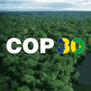 Amid Climate summit, Brazil clears rainforest to build highways