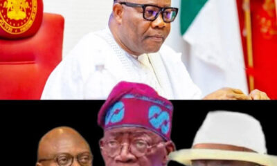 OPINION: President Tinubu and Rivers Political Gamble
