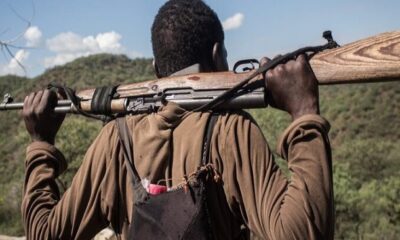 Assailants kill 40 in fresh Plateau attack