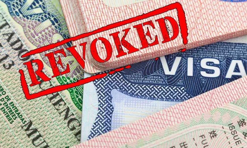 Pro-Palestine Protests: US revokes over 1,400 international students’ visas