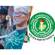 Peter Obi Urges Urgent Reforms After JAMB Glitch Affects Nearly 380,000 Candidates