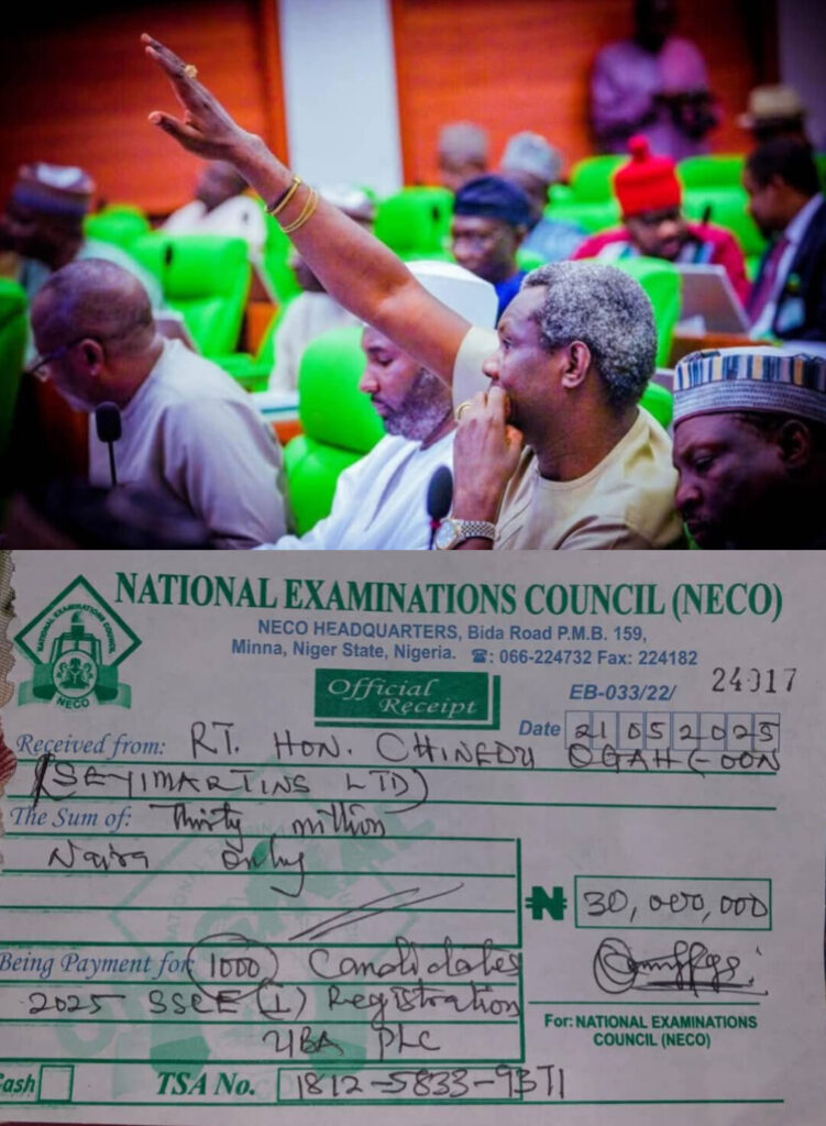 Ogah’s NECO Payment Is Desperate Political Stagecraft, Not Public Service