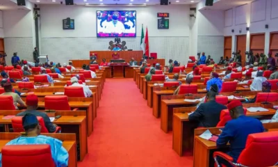 Lawyers Demand Salary Refund from Senators Over Poor Performance