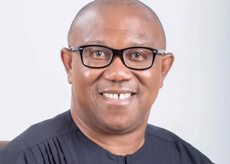 Labour Party’s Rising Tide: Can Peter Obi Break the Political Establishment?
