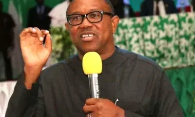 Peter Obi Refutes ₦225 Billion Debt Claim, Denies Meeting Tinubu in Rome