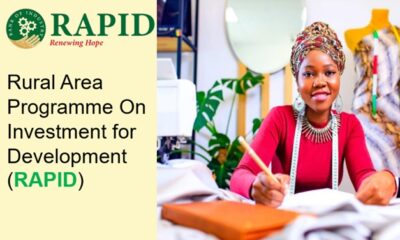 Call for Applications: Bank of Industry RAPID Initiative ( Loan at 5% per annum, Business Advisory & Training for Small Businesses)