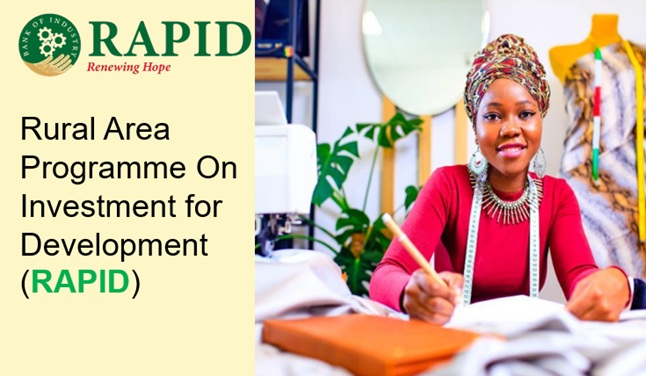 Call for Applications: Bank of Industry RAPID Initiative ( Loan at 5% per annum, Business Advisory & Training for Small Businesses)