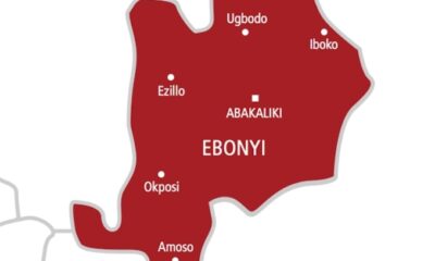 Appeal Court Upholds Nullification of Ebonyi Local Government Elections