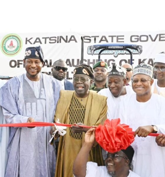 Let your work speak for you— Tinubu tells governors