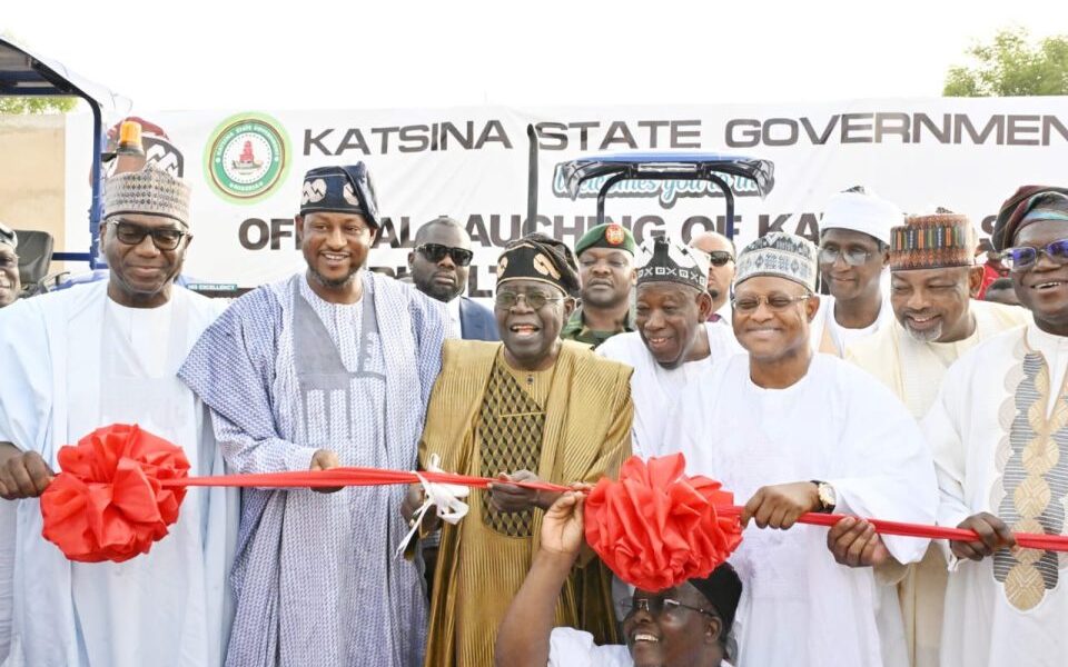 Let your work speak for you— Tinubu tells governors
