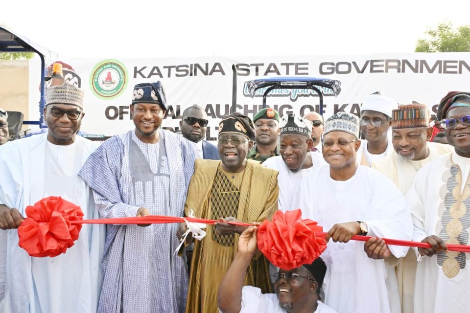 Let your work speak for you— Tinubu tells governors