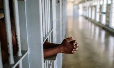 Court Remands ABU Professor Over Alleged Forgery