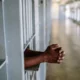 Court Remands ABU Professor Over Alleged Forgery