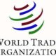 Call for Applications: WTO Internship Program ( Daily Allowance + Health Insurance Coverage)