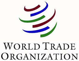 Call for Applications: WTO Internship Program ( Daily Allowance + Health Insurance Coverage)