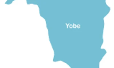 Man Hacks Wife to Death in Yobe, Two Others Arrested for Homicide