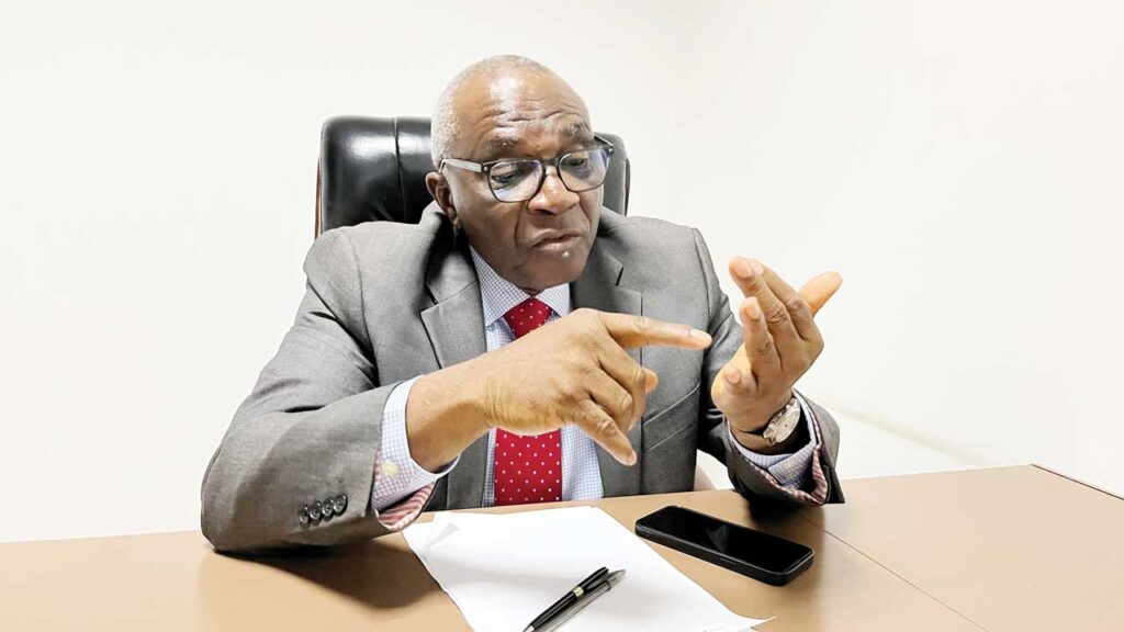 Presidency Defends Borrowing Strategy as Crucial Tool for Economic Growth