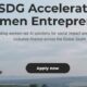 Call for Applications: 2025 EY SDG Accelerator Program