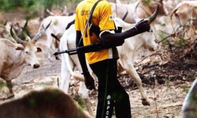 Armed Herdsmen Attack Benue Community 48 Hours After Tinubu’s Visit