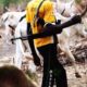 Armed Herdsmen Attack Benue Community 48 Hours After Tinubu’s Visit
