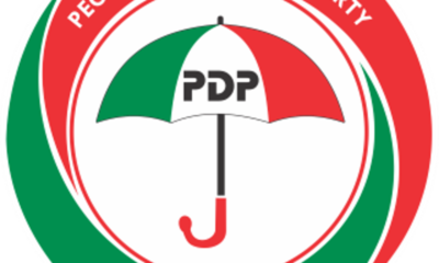 PDP National Chair spokesman resigns